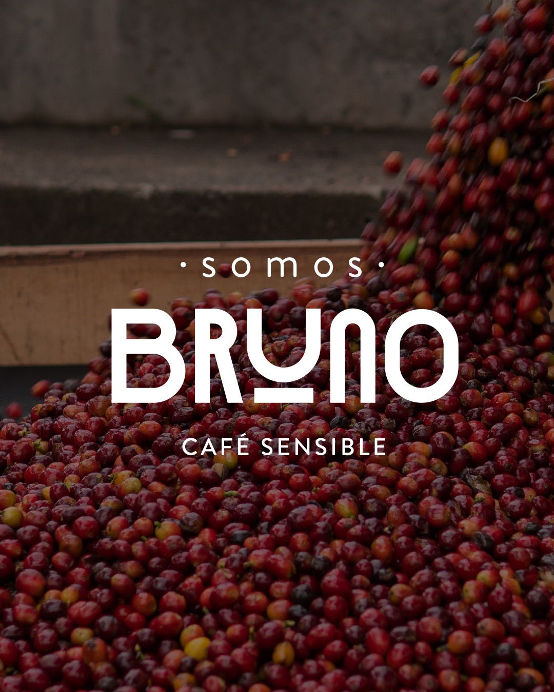 Bruno Cafe Sensible - colombiancoffeeus