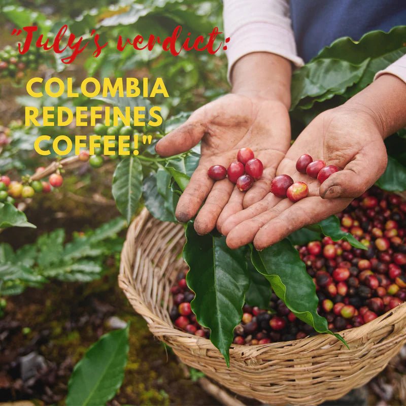 The July Verdict: Colombian Coffee Production and Trade Trends - colombiancoffeeus