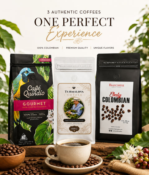 Colombia Origins Bundle — Antioquia · Quindío · Santa Marta | 3 Coffees, Limited Run